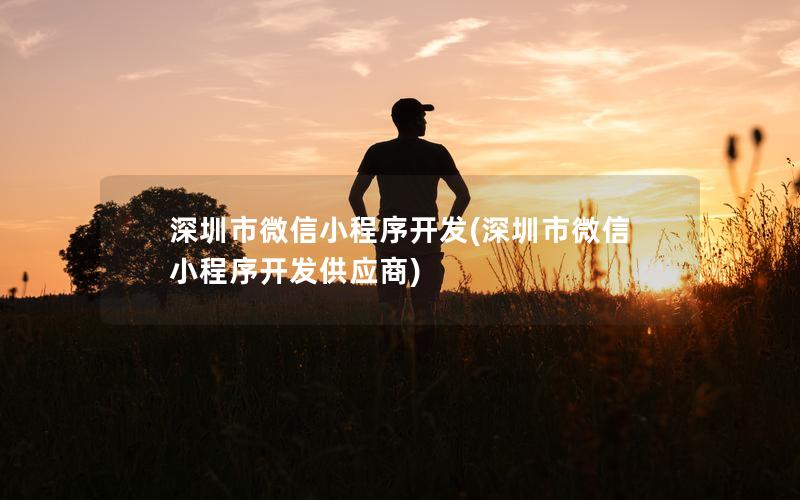 深圳市微信小程序开发(深圳市微信小程序开发供应商)