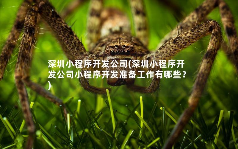 深圳小程序开发公司(深圳小程序开发公司小程序开发准备工作有哪些？)