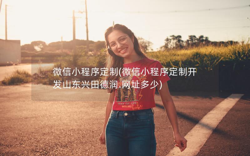 微信小程序定制(微信小程序定制开发山东兴田德润.网址多少)
