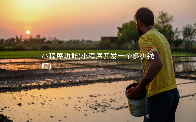 小程序功能(小程序开发一个多少钱啊)