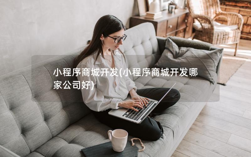 小程序商城开发(小程序商城开发哪家公司好)
