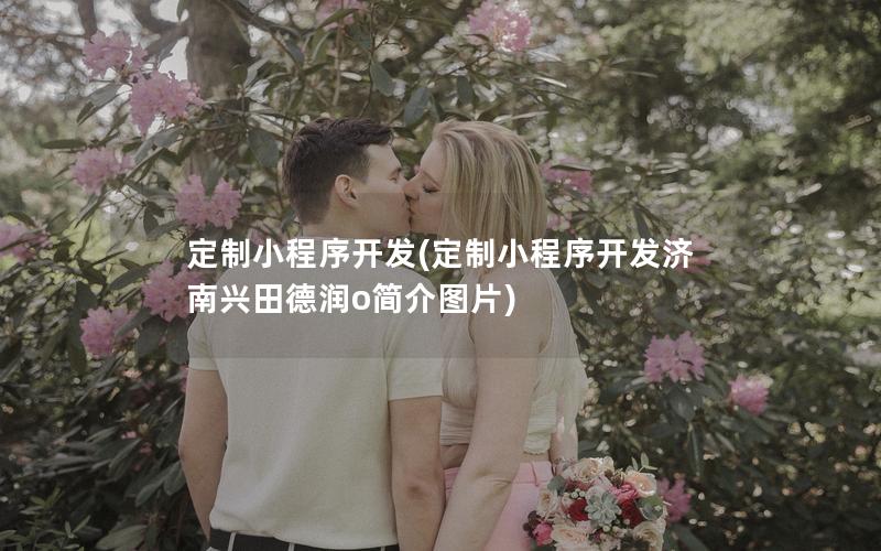 定制小程序开发(定制小程序开发济南兴田德润o简介图片)
