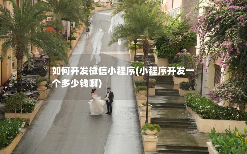 如何开发微信小程序(小程序开发一个多少钱啊)