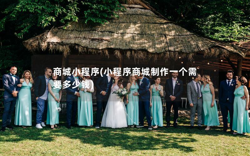 商城小程序(小程序商城制作一个需要多少钱)