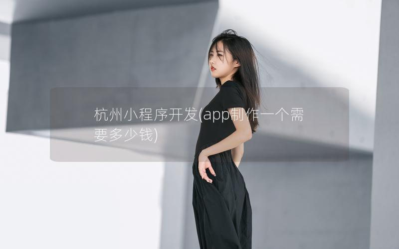 杭州小程序开发(app制作一个需要多少钱)