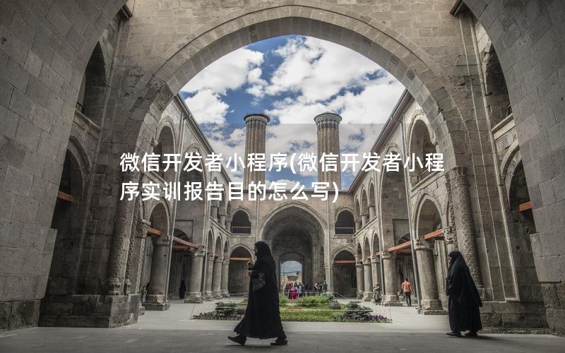 微信开发者小程序(微信开发者小程序实训报告目的怎么写)