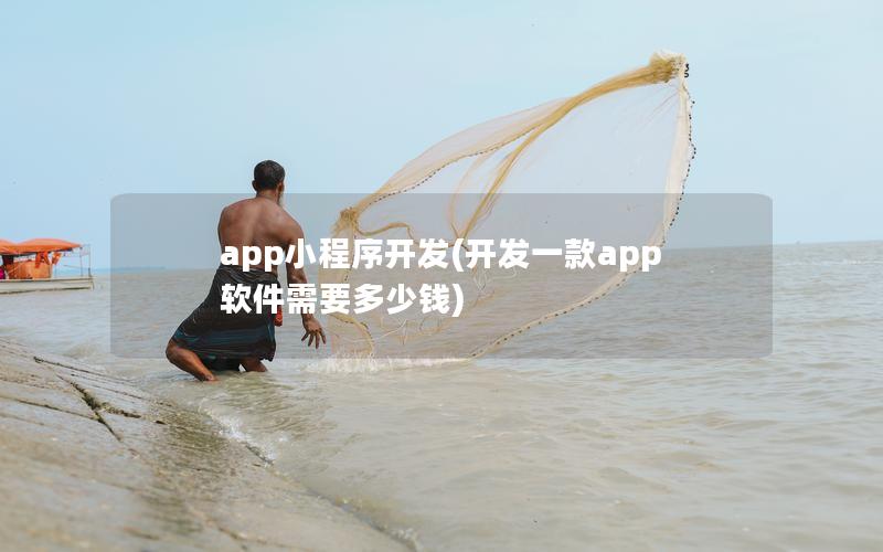 app小程序开发(开发一款app软件需要多少钱)