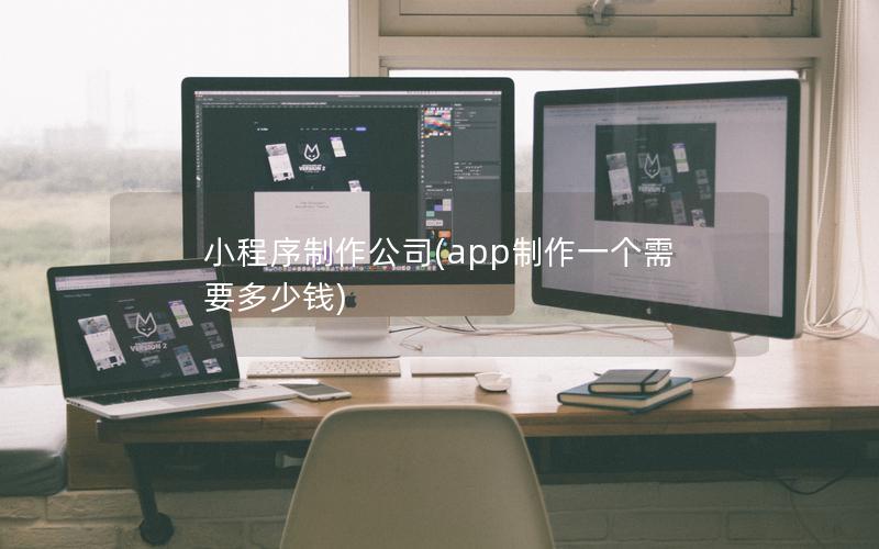 小程序制作公司(app制作一个需要多少钱)