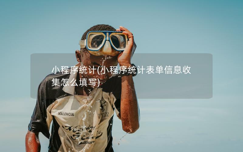 小程序统计(小程序统计表单信息收集怎么填写)