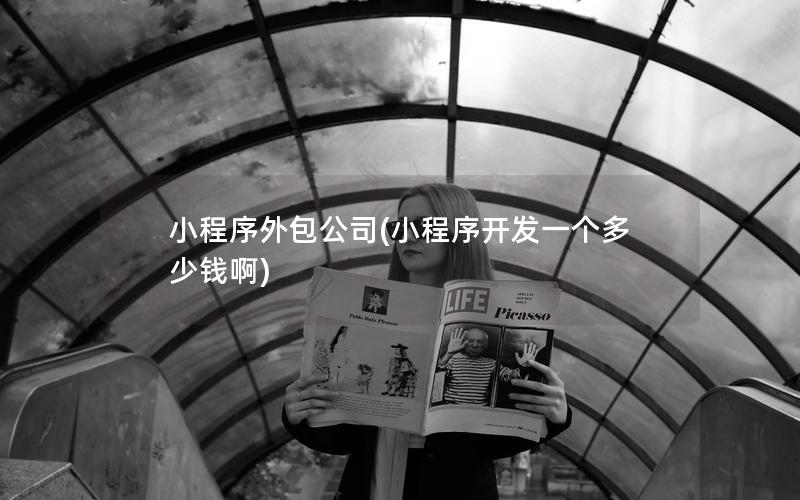 小程序外包公司(小程序开发一个多少钱啊)