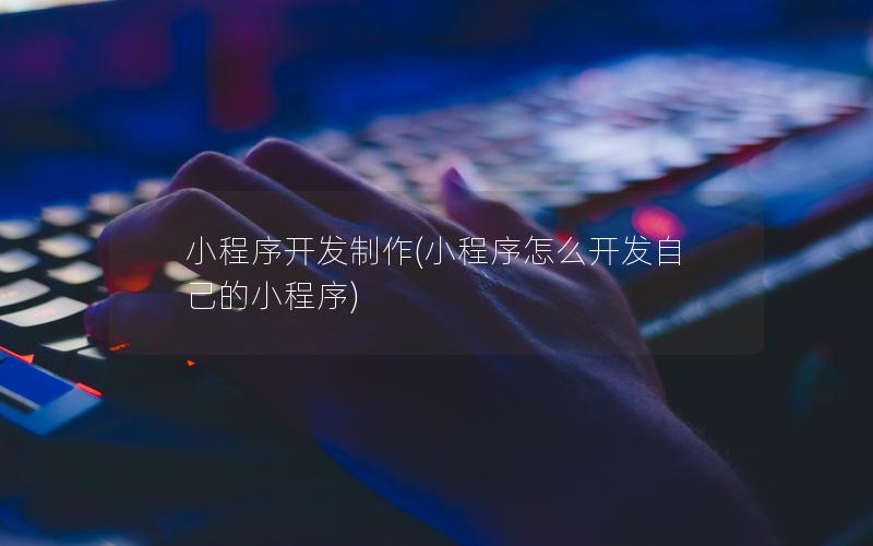 小程序开发制作(小程序怎么开发自己的小程序)