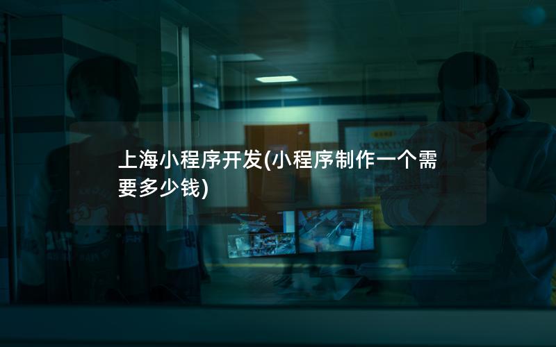 上海小程序开发(小程序制作一个需要多少钱)