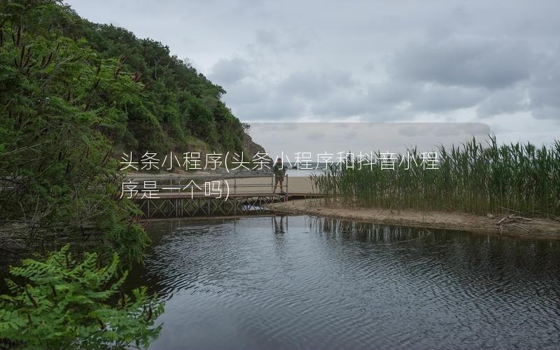 头条小程序(头条小程序和抖音小程序是一个吗)