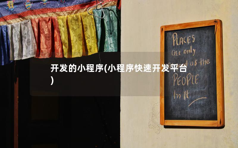 开发的小程序(小程序快速开发平台)