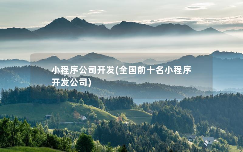 小程序公司开发(全国前十名小程序开发公司)