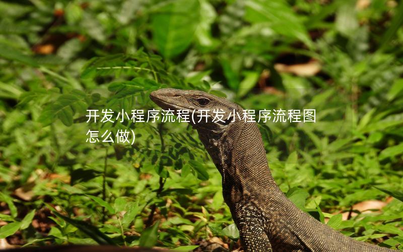 开发小程序流程(开发小程序流程图怎么做)