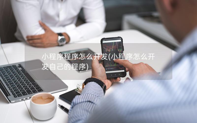 小程序程序怎么开发(小程序怎么开发自己的程序)