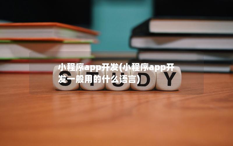 小程序app开发(小程序app开发一般用的什么语言)