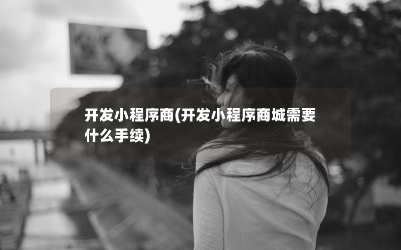 开发小程序商(开发小程序商城需要什么手续)