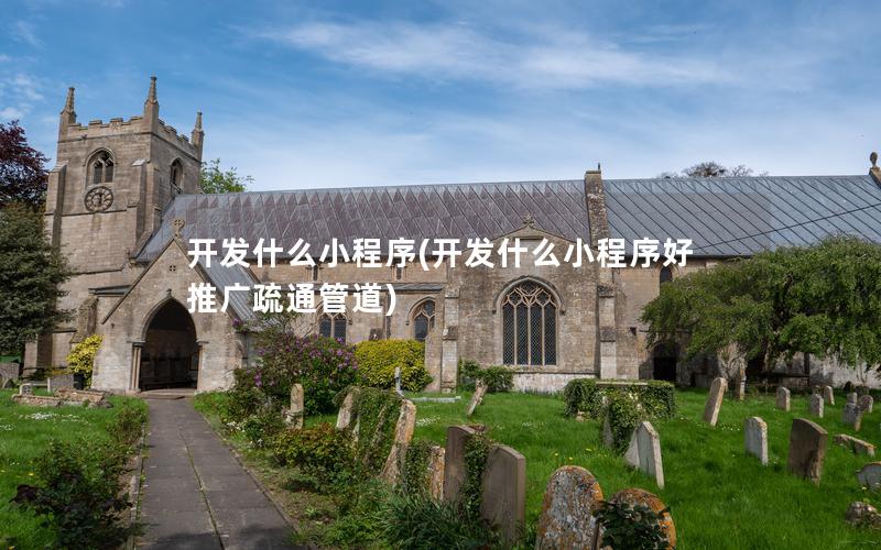 开发什么小程序(开发什么小程序好推广疏通管道)