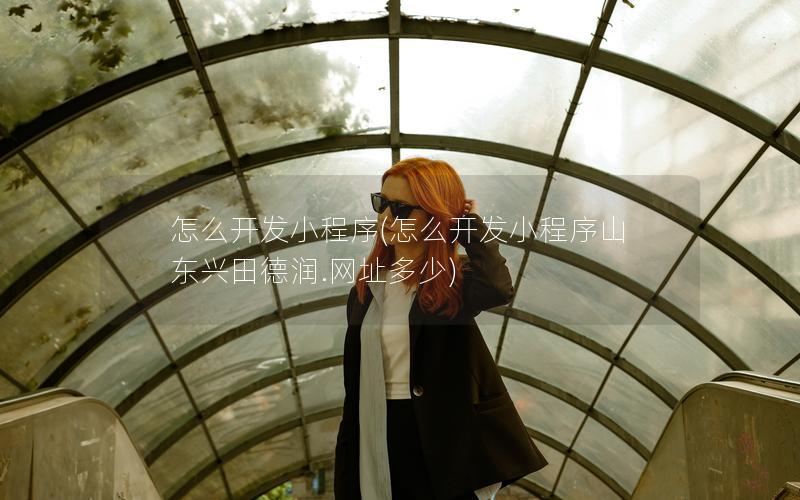 怎么开发小程序(怎么开发小程序山东兴田德润.网址多少)
