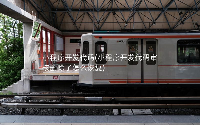 小程序开发代码(小程序开发代码审核删除了怎么恢复)