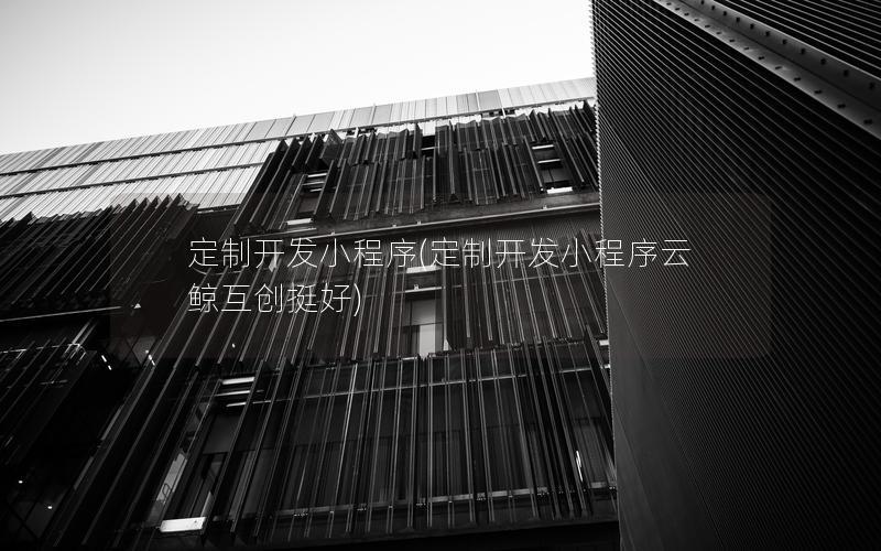 定制开发小程序(定制开发小程序云鲸互创挺好)