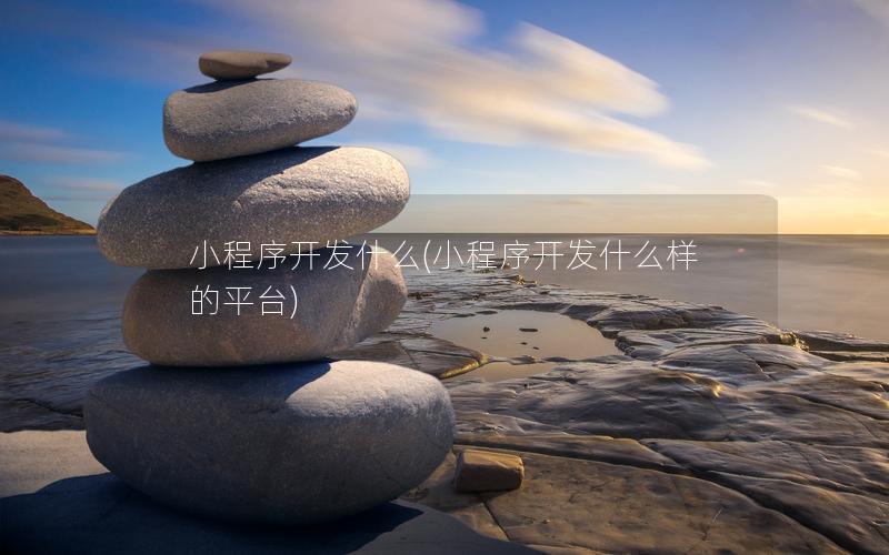 小程序开发什么(小程序开发什么样的平台)