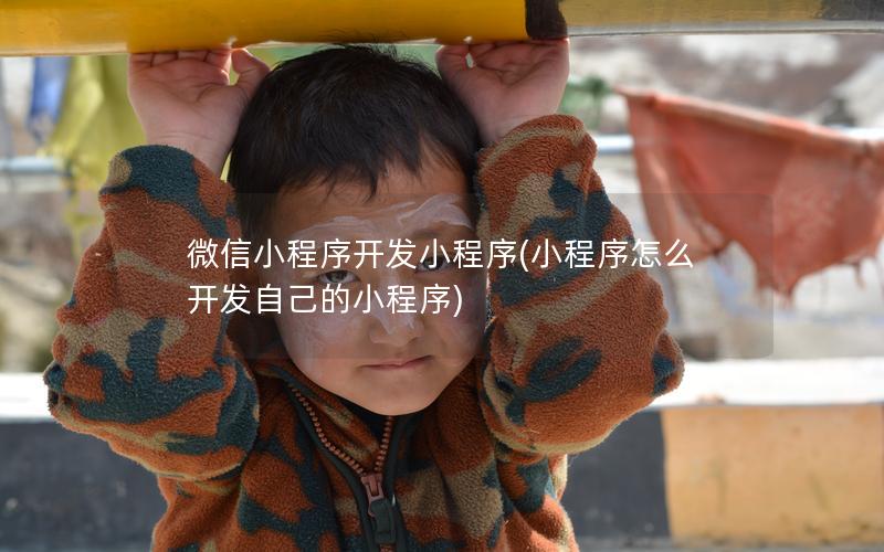 微信小程序开发小程序(小程序怎么开发自己的小程序)