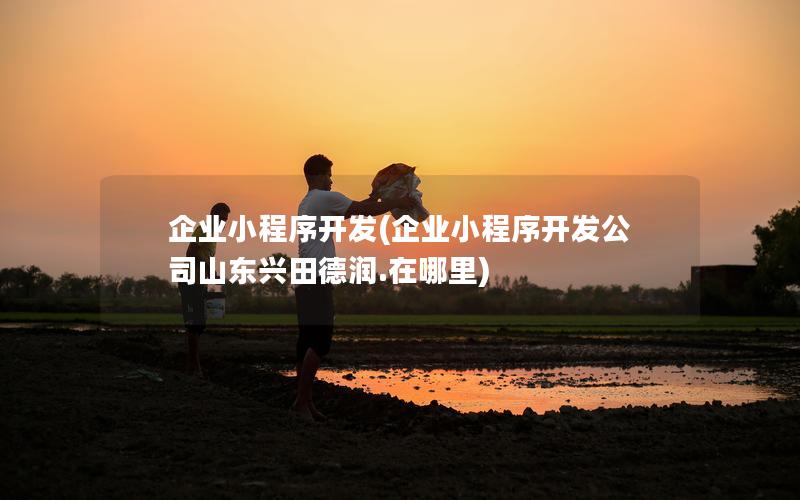 企业小程序开发(企业小程序开发公司山东兴田德润.在哪里)