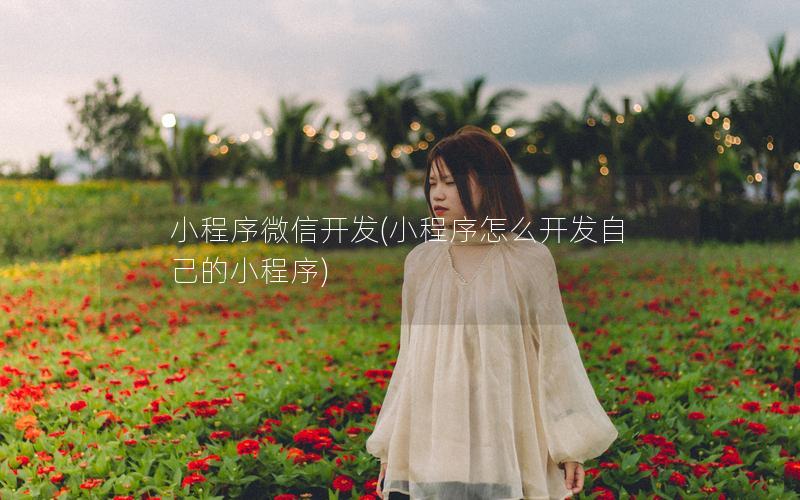 小程序微信开发(小程序怎么开发自己的小程序)