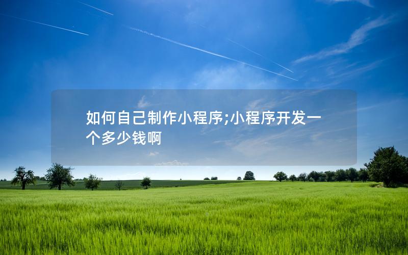 如何自己制作小程序;小程序开发一个多少钱啊
