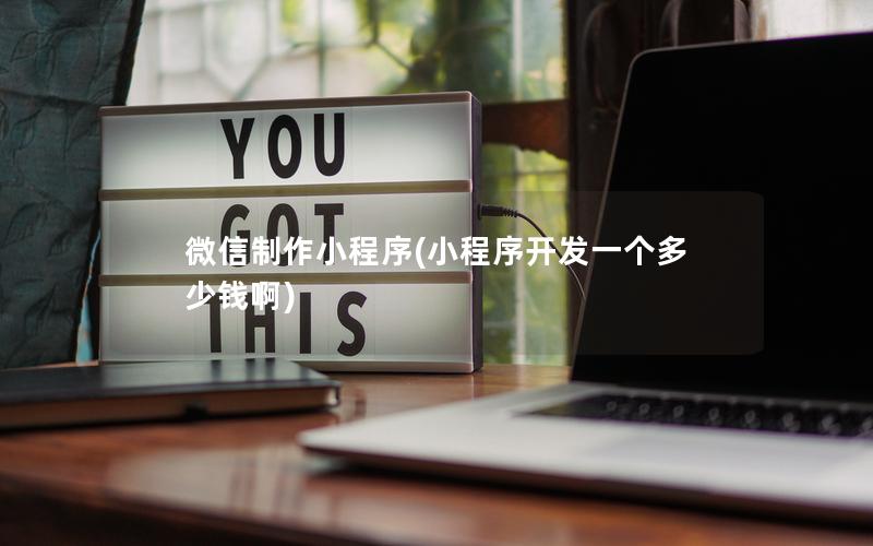 微信制作小程序(小程序开发一个多少钱啊)