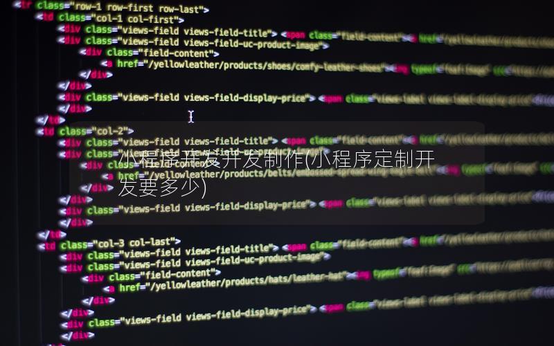 小程序开发开发制作(小程序定制开发要多少)