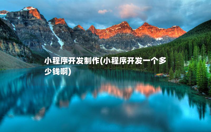 小程序开发制作(小程序开发一个多少钱啊)