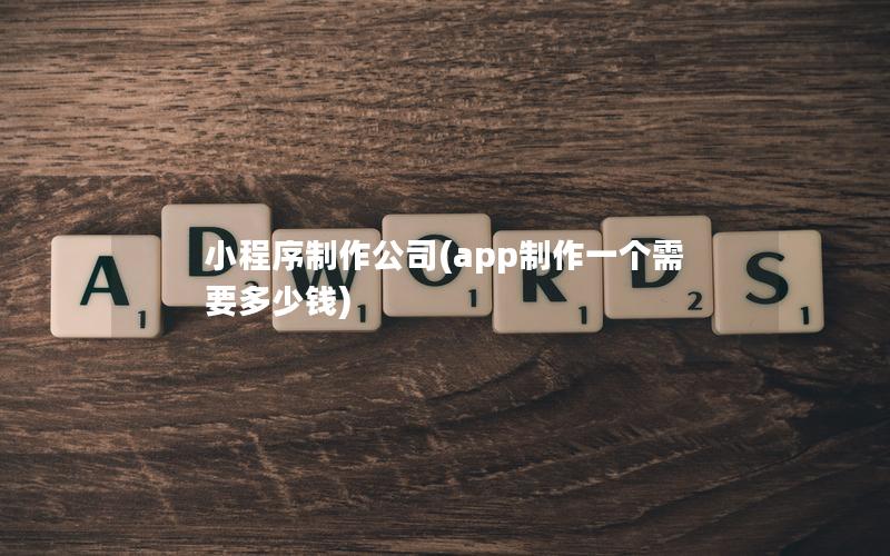 小程序制作公司(app制作一个需要多少钱)