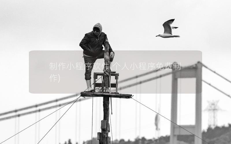 制作小程序软件(个人小程序免费制作)