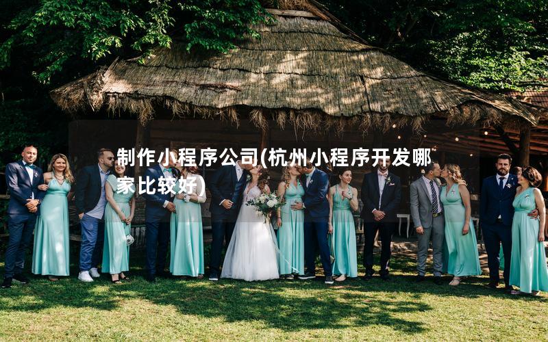 制作小程序公司(杭州小程序开发哪家比较好)