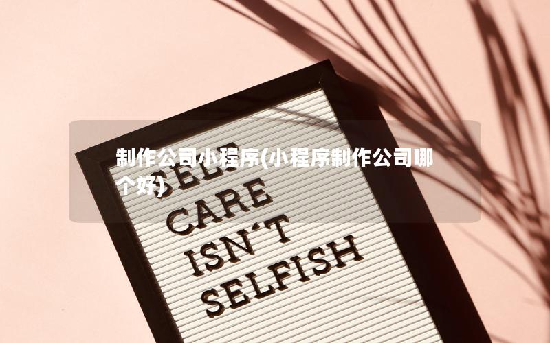 制作公司小程序(小程序制作公司哪个好)