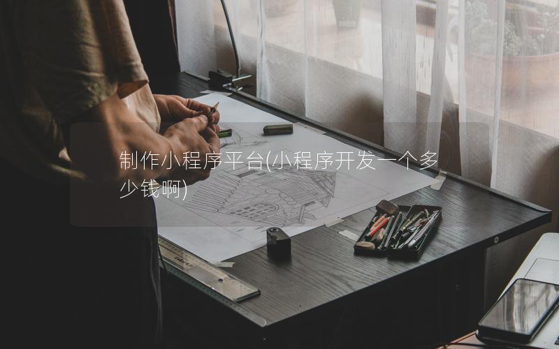 制作小程序平台(小程序开发一个多少钱啊)