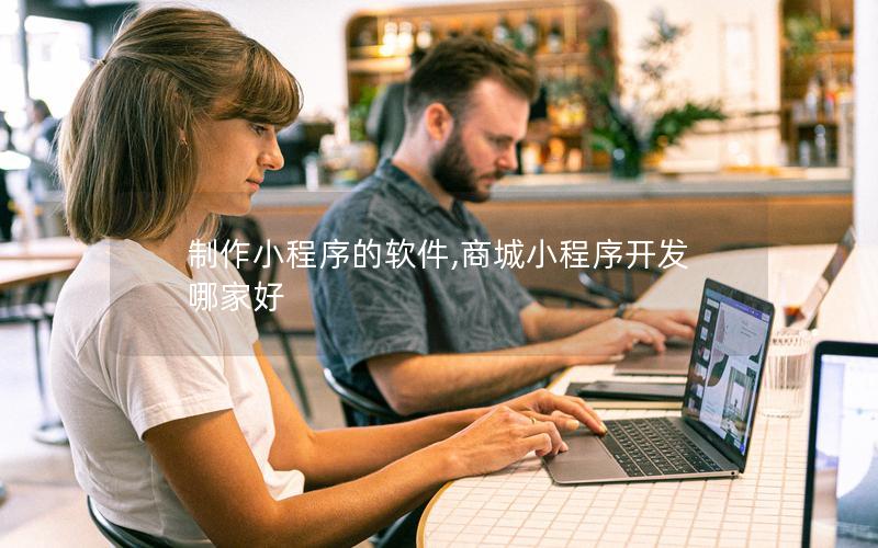制作小程序的软件,商城小程序开发哪家好