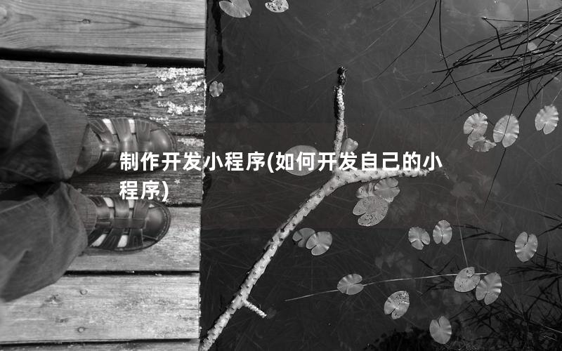 制作开发小程序(如何开发自己的小程序)
