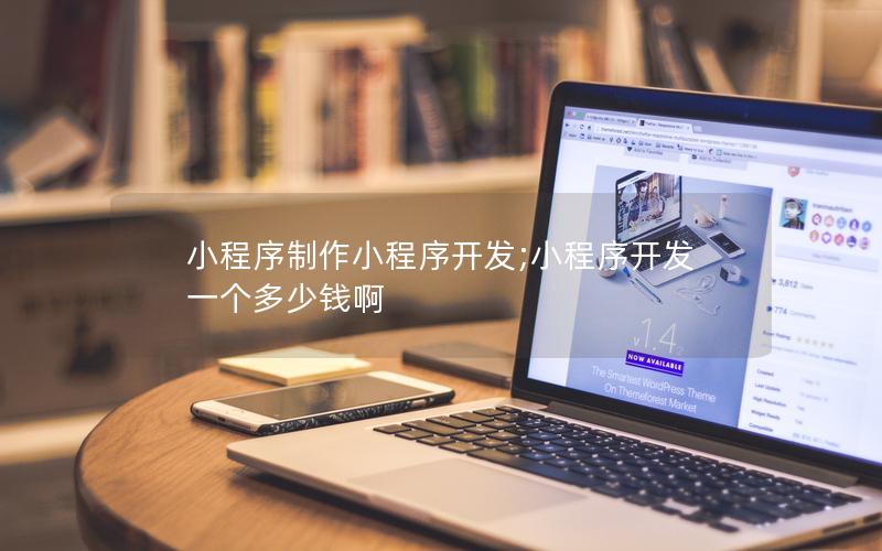 小程序制作小程序开发;小程序开发一个多少钱啊