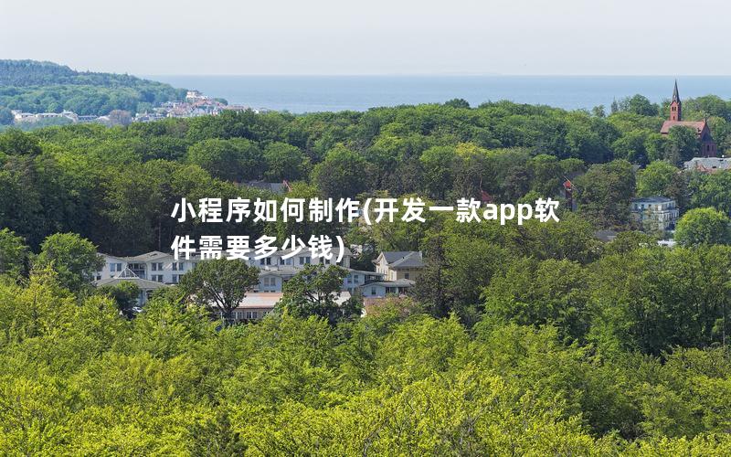 小程序如何制作(开发一款app软件需要多少钱)