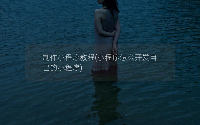 制作小程序教程(小程序怎么开发自己的小程序)