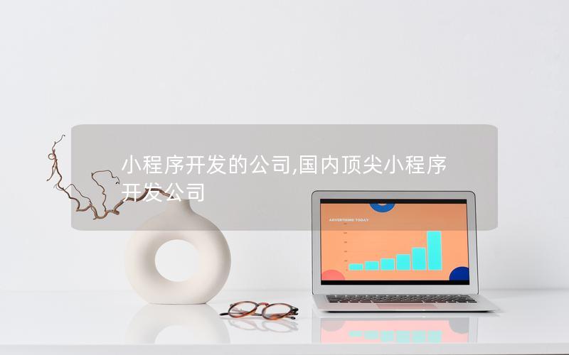 小程序开发的公司,国内顶尖小程序开发公司