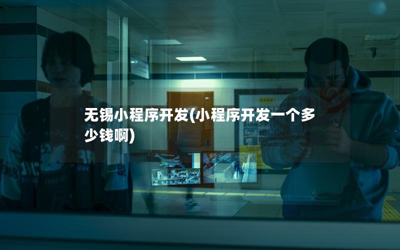 无锡小程序开发(小程序开发一个多少钱啊)