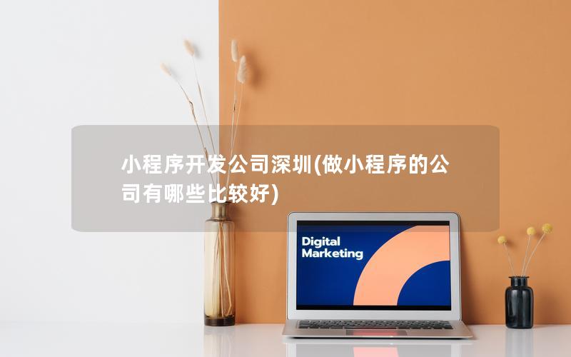小程序开发公司深圳(做小程序的公司有哪些比较好)