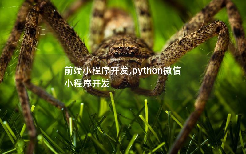 前端小程序开发,python微信小程序开发