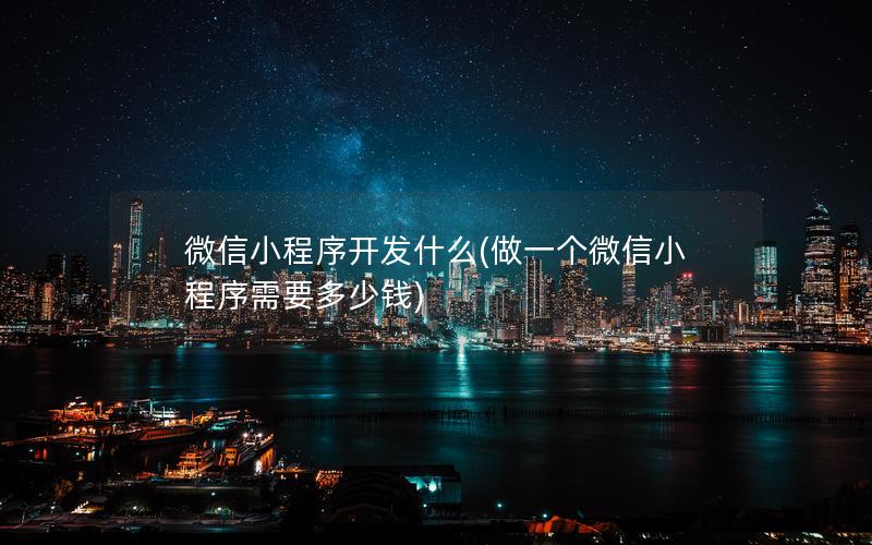 微信小程序开发什么(做一个微信小程序需要多少钱)